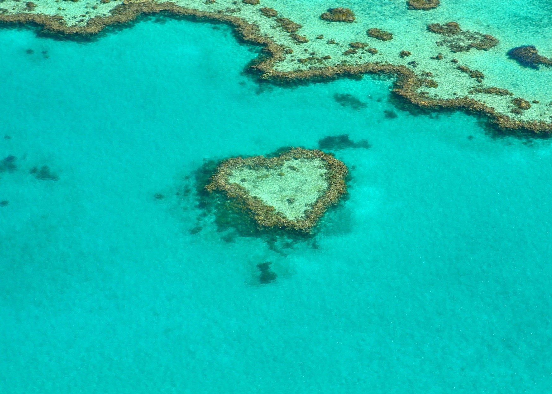 Being present with climate distress: Applications to professional practice