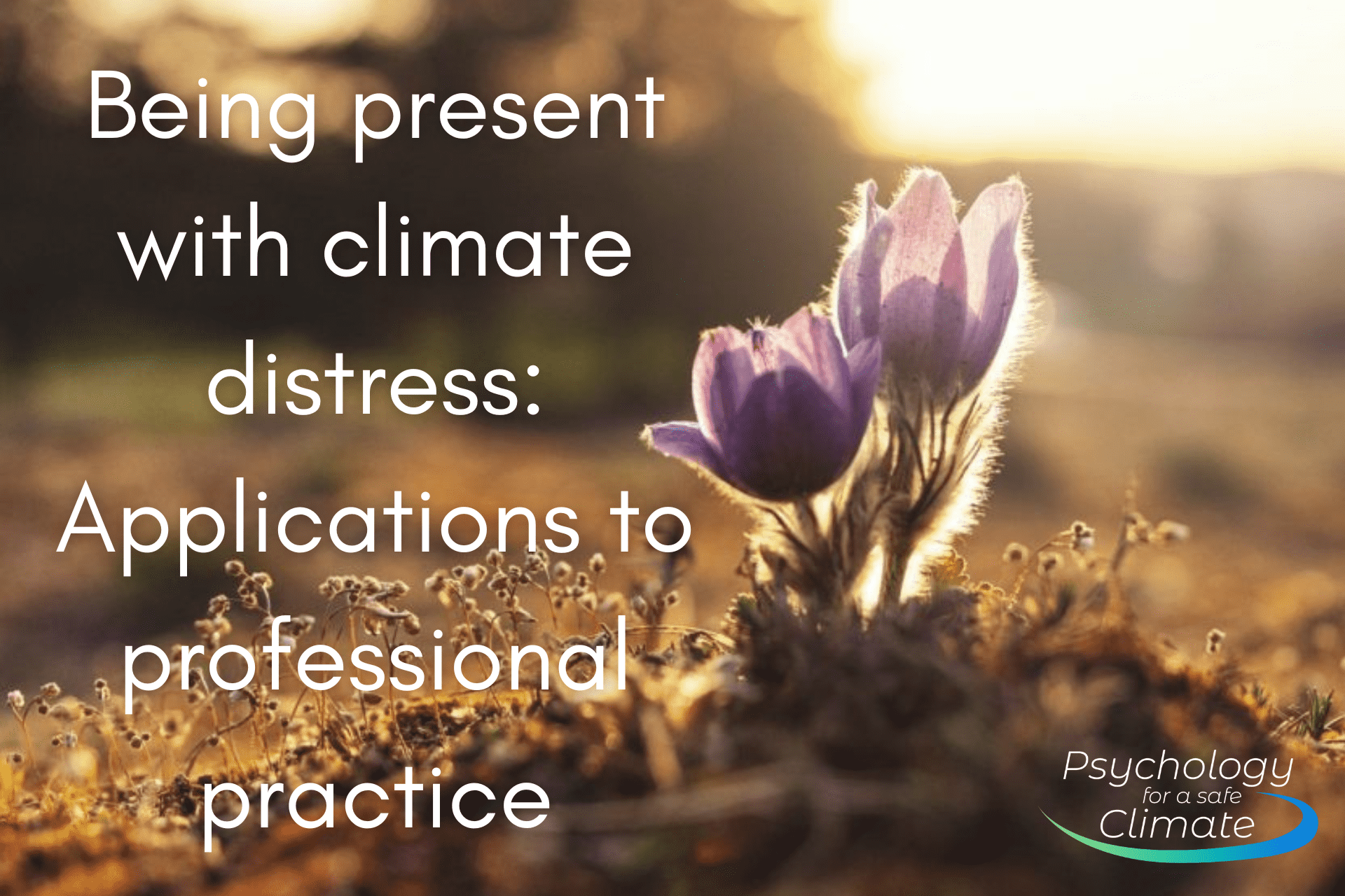 Being present with climate distress: Applications to professional practice