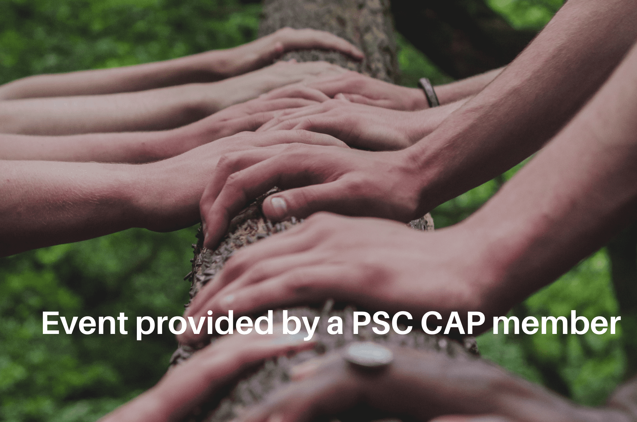 Responding to climate change in therapeutic practice