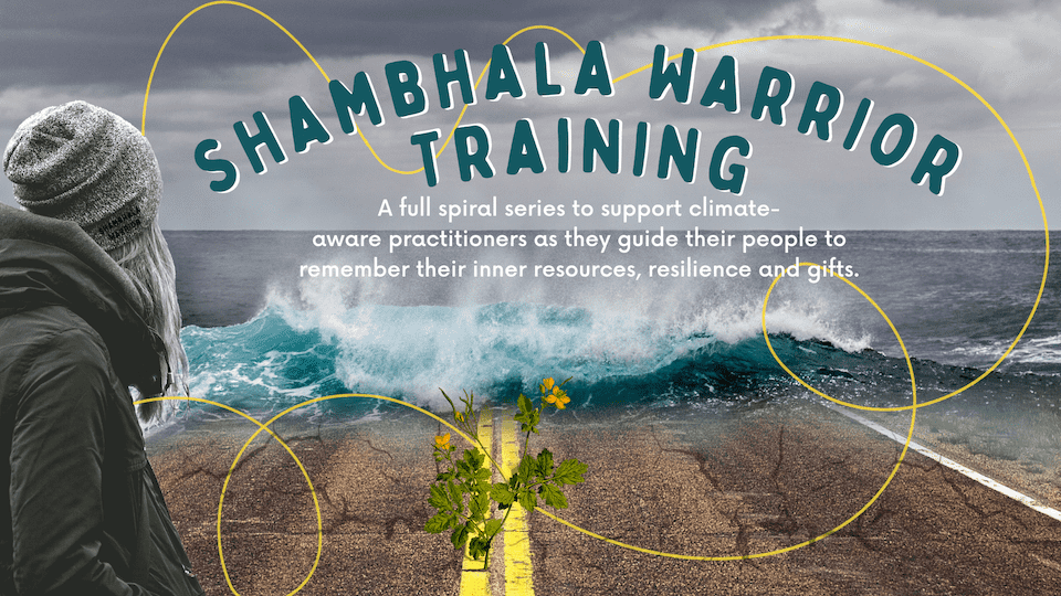 Shambhala Warrior Training Series (6 sessions) - Work That Reconnects to Support Climate-Aware Practitioners