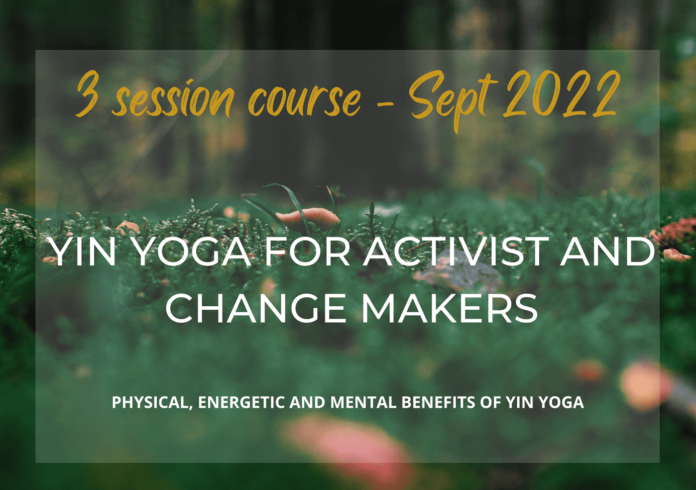 Yin yoga for activist and change makers