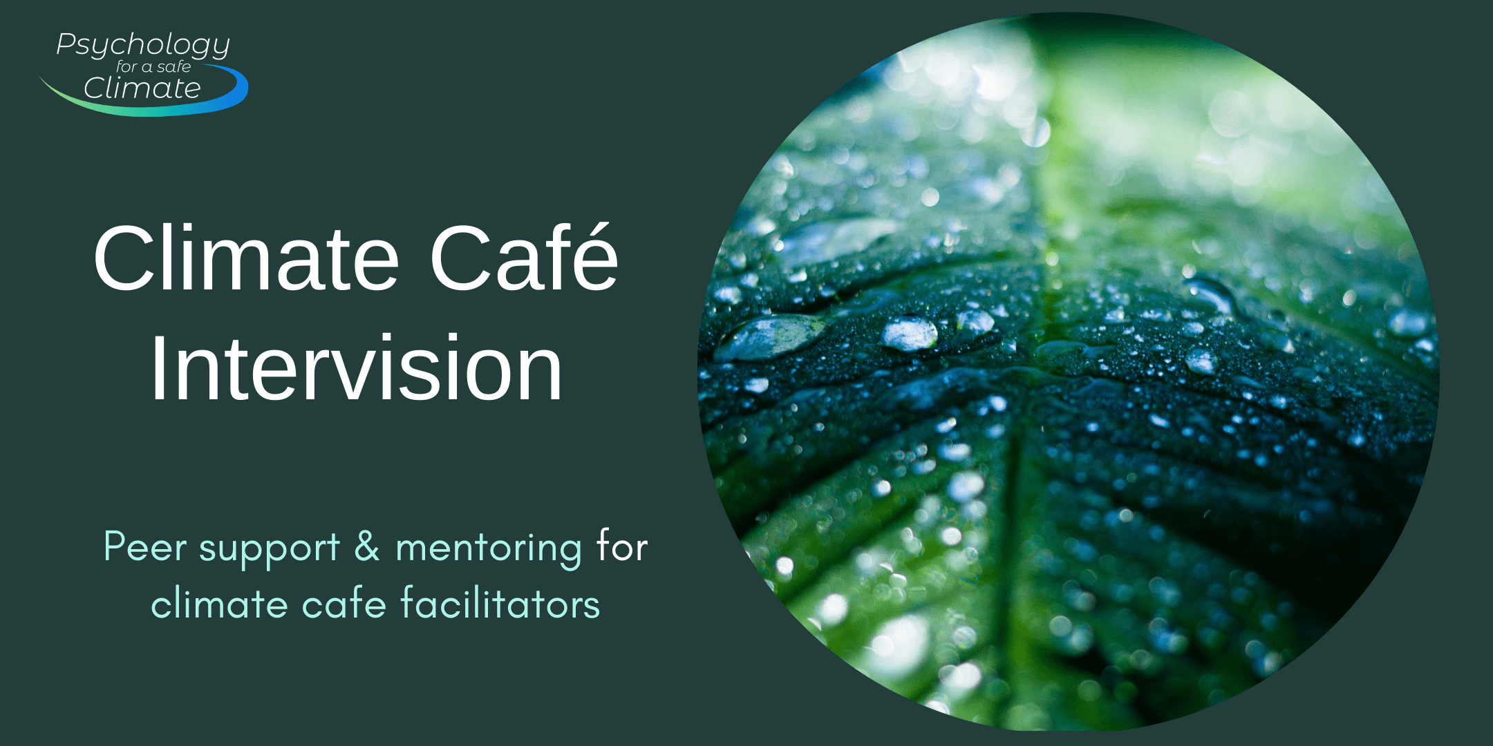 Climate Cafe Facilitator Intervision