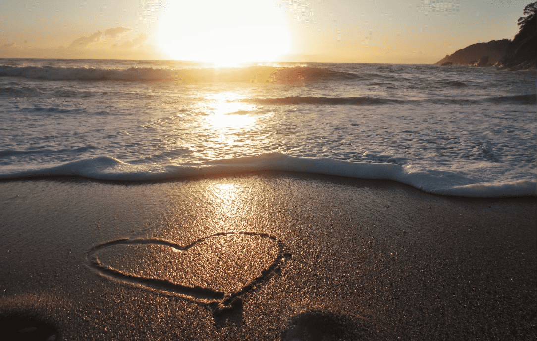 All climate emotions belong. Here's how to welcome them. - Psychology ...